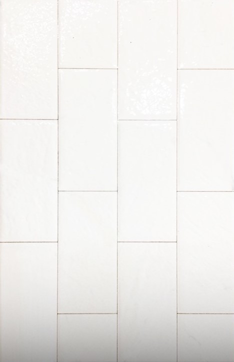 DIGIUNO 25X40 VELION WHITE